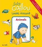 Anne Paradis Baby Caillou Looks Around (a Toddler's Search And Animals 