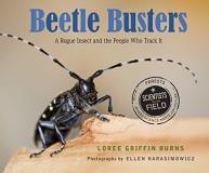Loree Griffin Burns Beetle Busters A Rogue Insect And The People Who Track It 