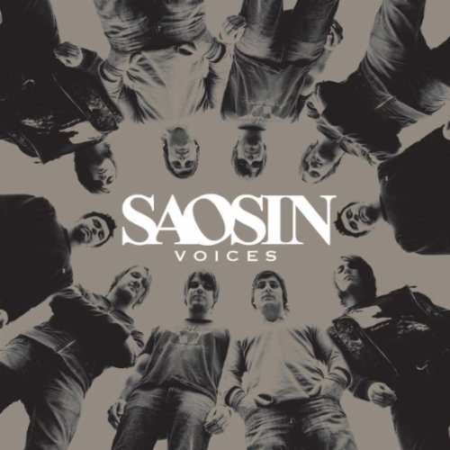 SAOSIN/VOICES