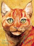 Jackie Morris I Am Cat 