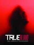 True Blood Season 6 DVD 