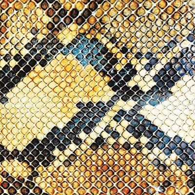 Amazing Snakeheads/Amphetamine Ballads