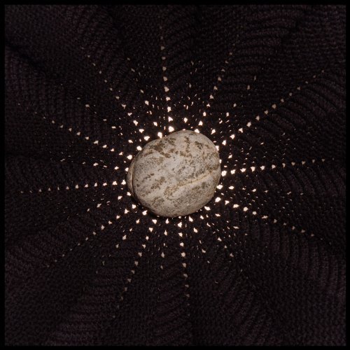 Nat Baldwin/In The Hollows