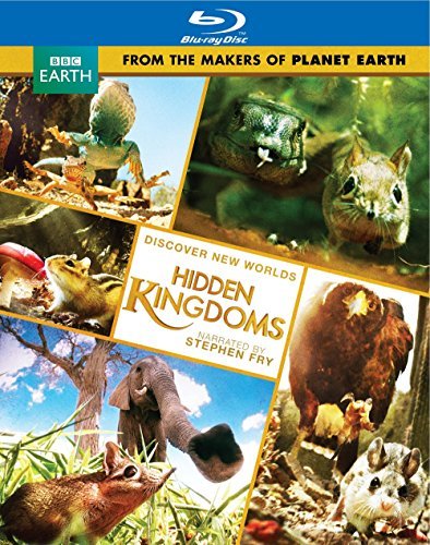 Hidden Kingdom/Hidden Kingdom@Blu-ray