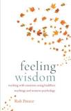 Rob Preece Feeling Wisdom Working With Emotions Using Buddhist Teachings An 