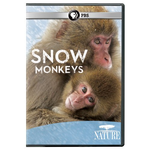 Nature/Snow Monkeys@PBS