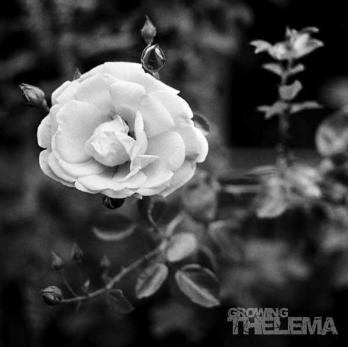 Thelema/Growing@Import-Gbr