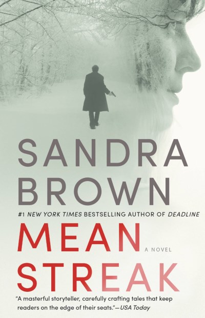 Sandra Brown/Mean Streak@LARGE PRINT