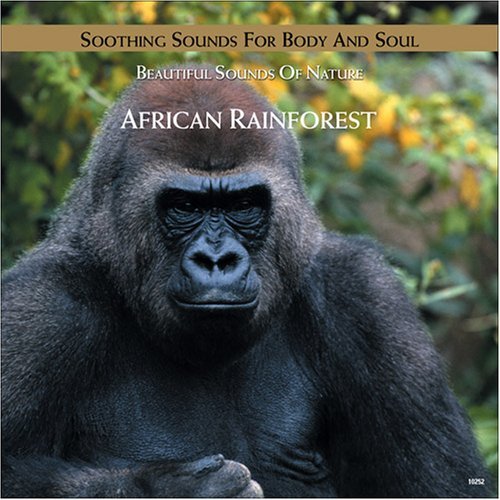 African Rainforest/African Rainforest