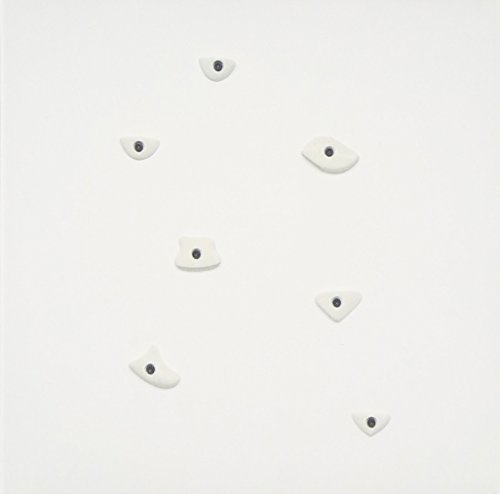 Alexis Taylor/Await Barbarians