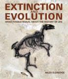 Niles Eldredge Extinction And Evolution What Fossils Reveal About The History Of Life 