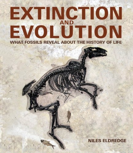 Niles Eldredge Extinction And Evolution What Fossils Reveal About The History Of Life 