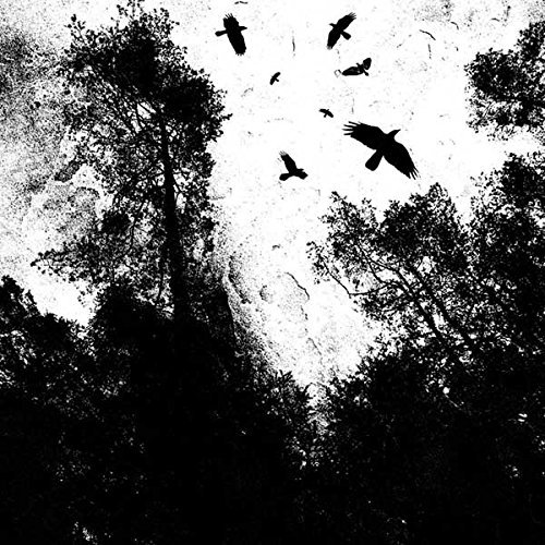 Autumn's Dawn/Gone