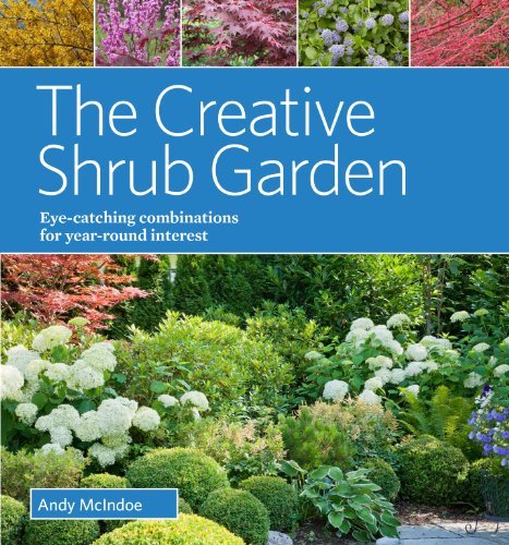 Andy Mcindoe The Creative Shrub Garden Eye Catching Combinations For Year Round Interest 