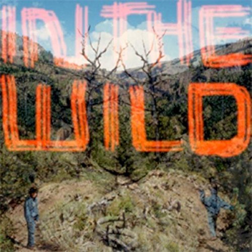 Faltydl/In The Wild@Import-Gbr