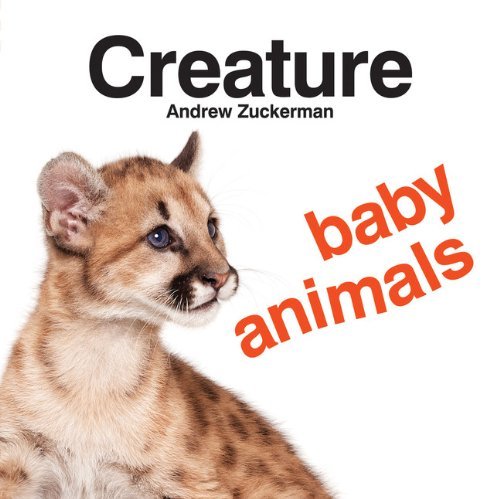 Andrew Zuckerman/Creature Baby Animals