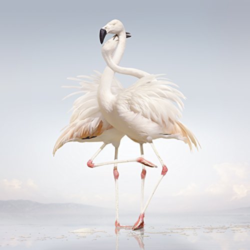 Rustie/Green Language