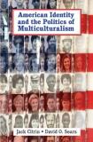 Jack Citrin American Identity And The Politics Of Multicultura 