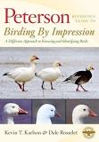 Kevin T. Karlson Peterson Reference Guide To Birding By Impression A Different Approach To Knowing And Identifying B 