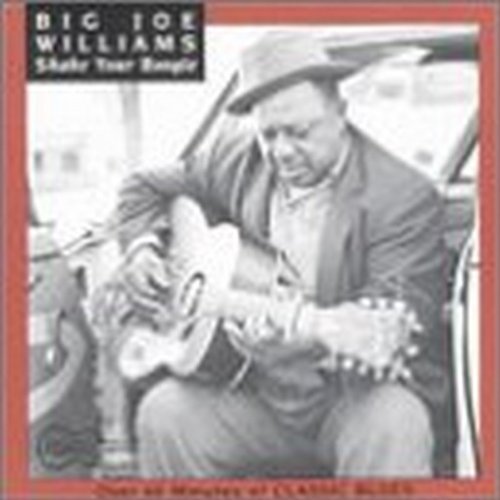 Big Joe Williams/Shake Your Boogie