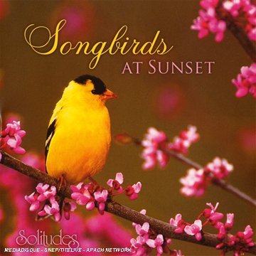 Gibson Cozens Songbirds At Sunset 