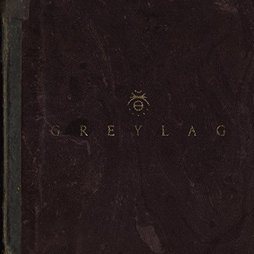 Greylag/Greylag