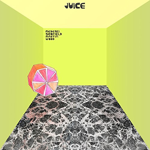 Medeski Scofield Martin & Wood/Juice