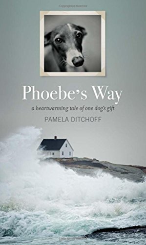 Pamela Ditchoff Phoebe's Way 