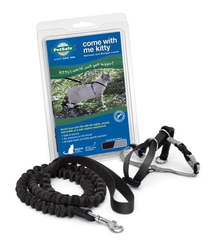 Pet Safe Cat Come Kitty Harness Leash