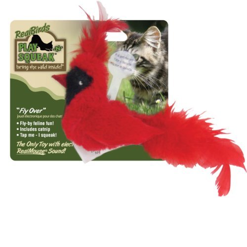 OurPets Cat Squeaker Cardinal