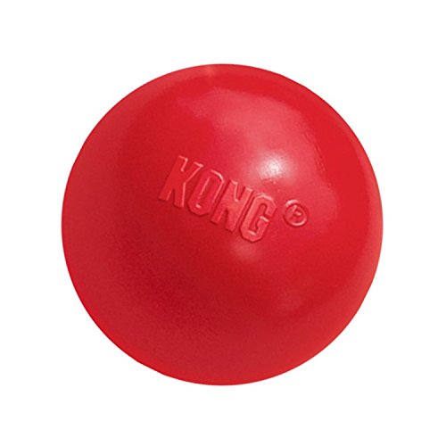 KONG Ball Dog Toy