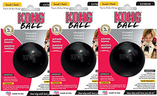 KONG Extreme Ball Dog Toy