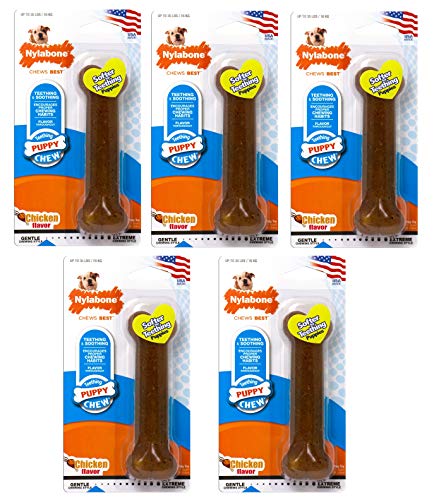 Nylabone Puppy Chew Bone Chicken Flavor Dog Toy