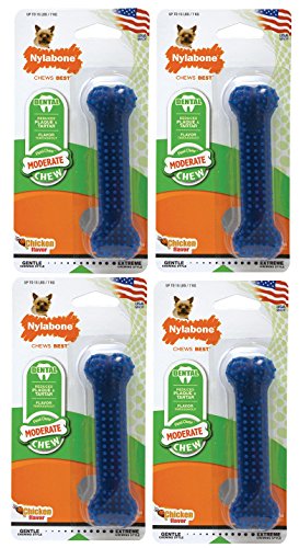 Nylabone Dental Chew Bone Dog Toy