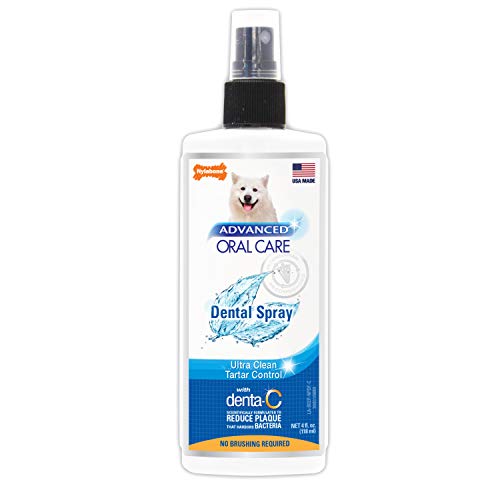 Nylabone Advanced Oral Care Dental Spray