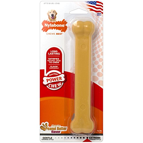 Nylabone DuraChew Peanut Butter Flavored Dog Chew Toy
