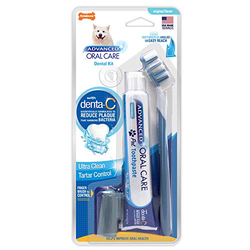 Nylabone Advanced Oral Care Dog Dental Kit