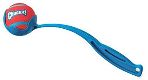 CHUCK IT! SPORT 12 Medium Ball