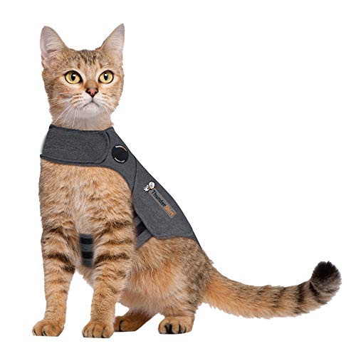 ThunderShirt for Cats