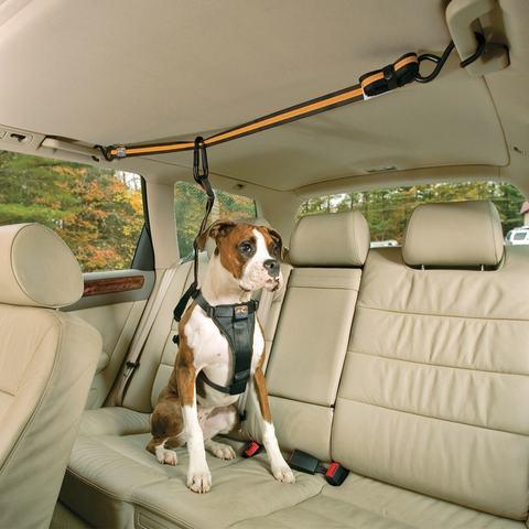 Kurgo Auto Zip Line with Leash