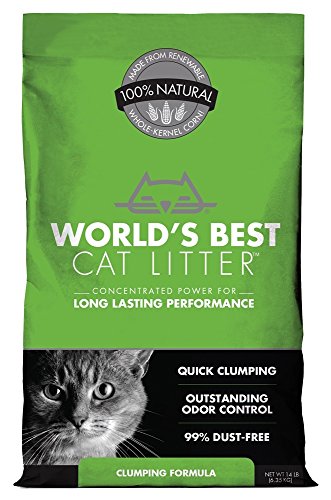 World's Best Cat Litter Quick Clumping