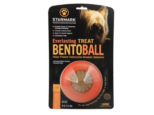 Starmark Dog Toy - Everlasting Treat Bentoball