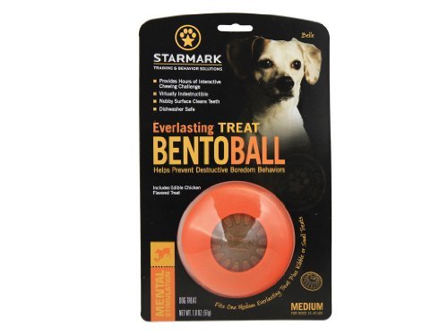 Dog Toy