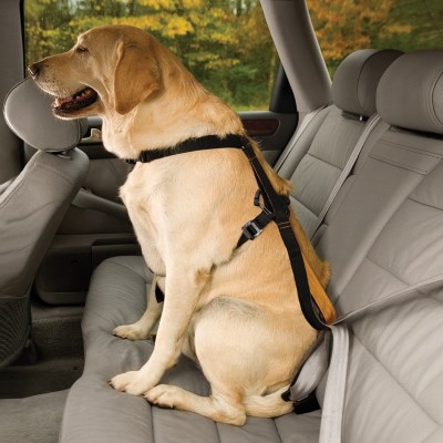Kurgo Enhanced Strength Tru-Fit Car Harness