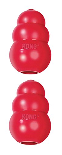 KONG Classic Dog Toy