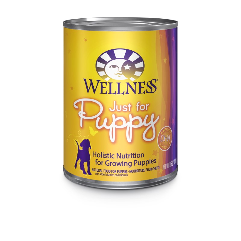 Wellness Complete Health Puppy Recipe Dog Food