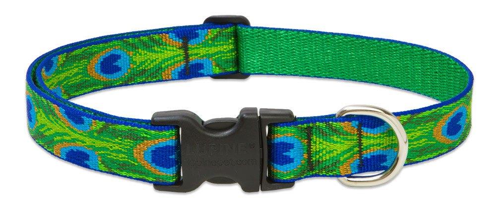 Lupine Pet Original Designs Adjustable Dog Collar-Tail Feathers