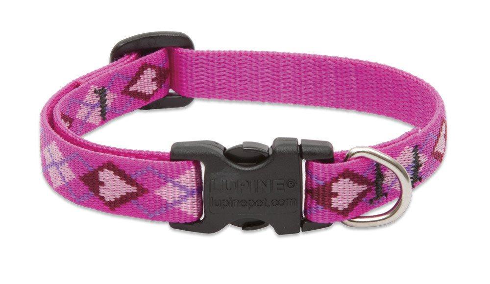 Lupine - Dog Collar