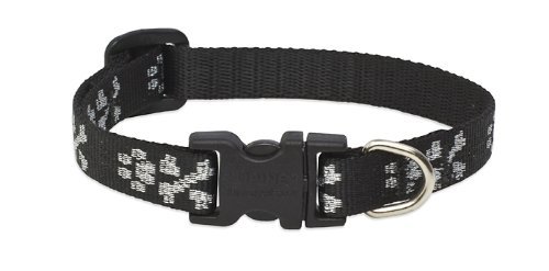 Lupine Pet Original Designs Adjustable Dog Collar-Bling Bonz
