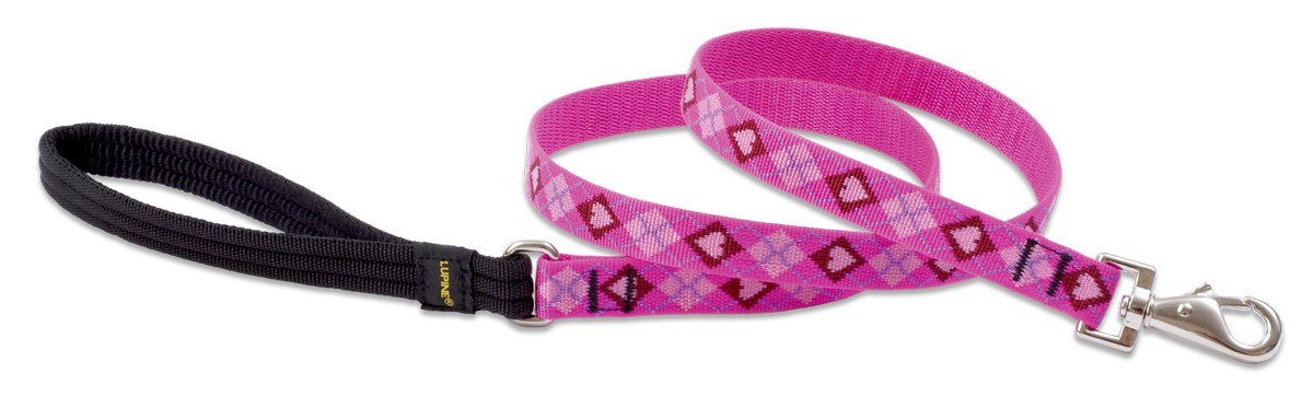 Lupine Pet Original Designs Dog Leash-Puppy Love